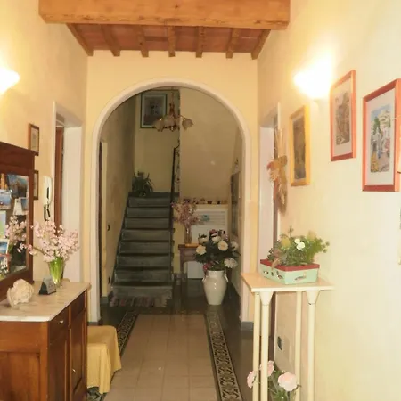 Angelini Dal 1911 3*