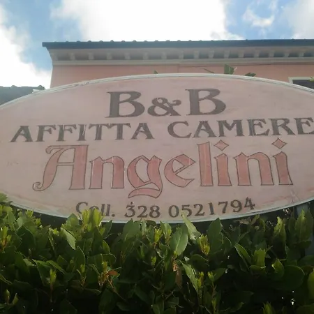 Angelini Dal 1911