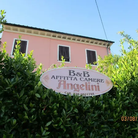 Angelini Dal 1911 卢卡