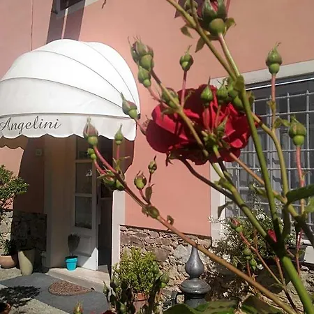 Guest house Angelini Dal 1911 3*