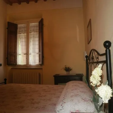 Angelini Dal 1911 Lucca