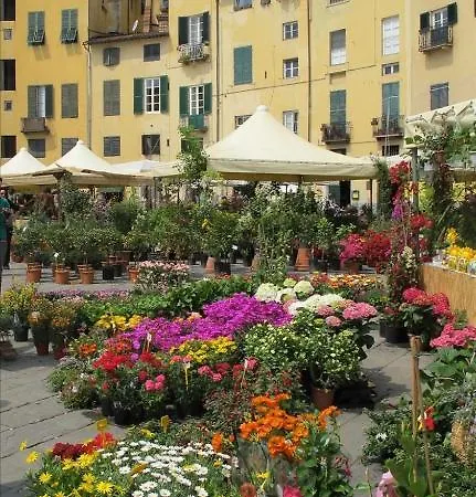 Beb Angelini Dal 1911